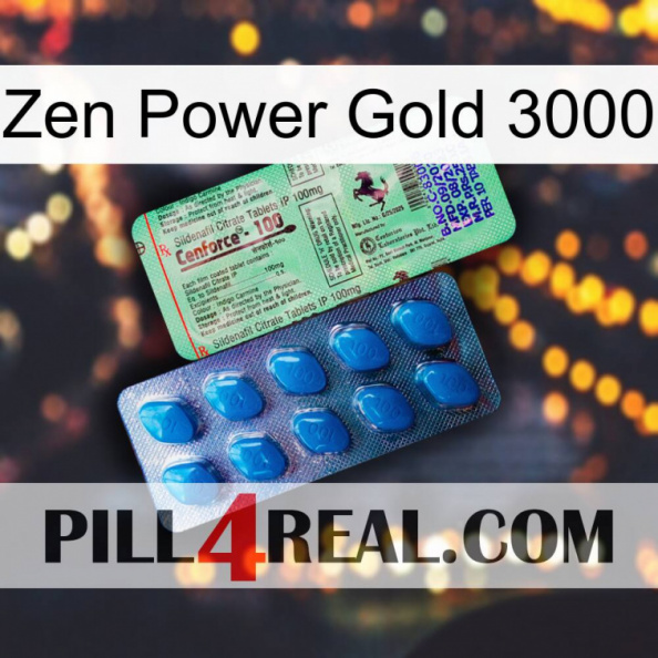 Zen Power Gold 3000 new02